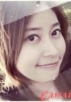 อัลบั้มของฉัน
